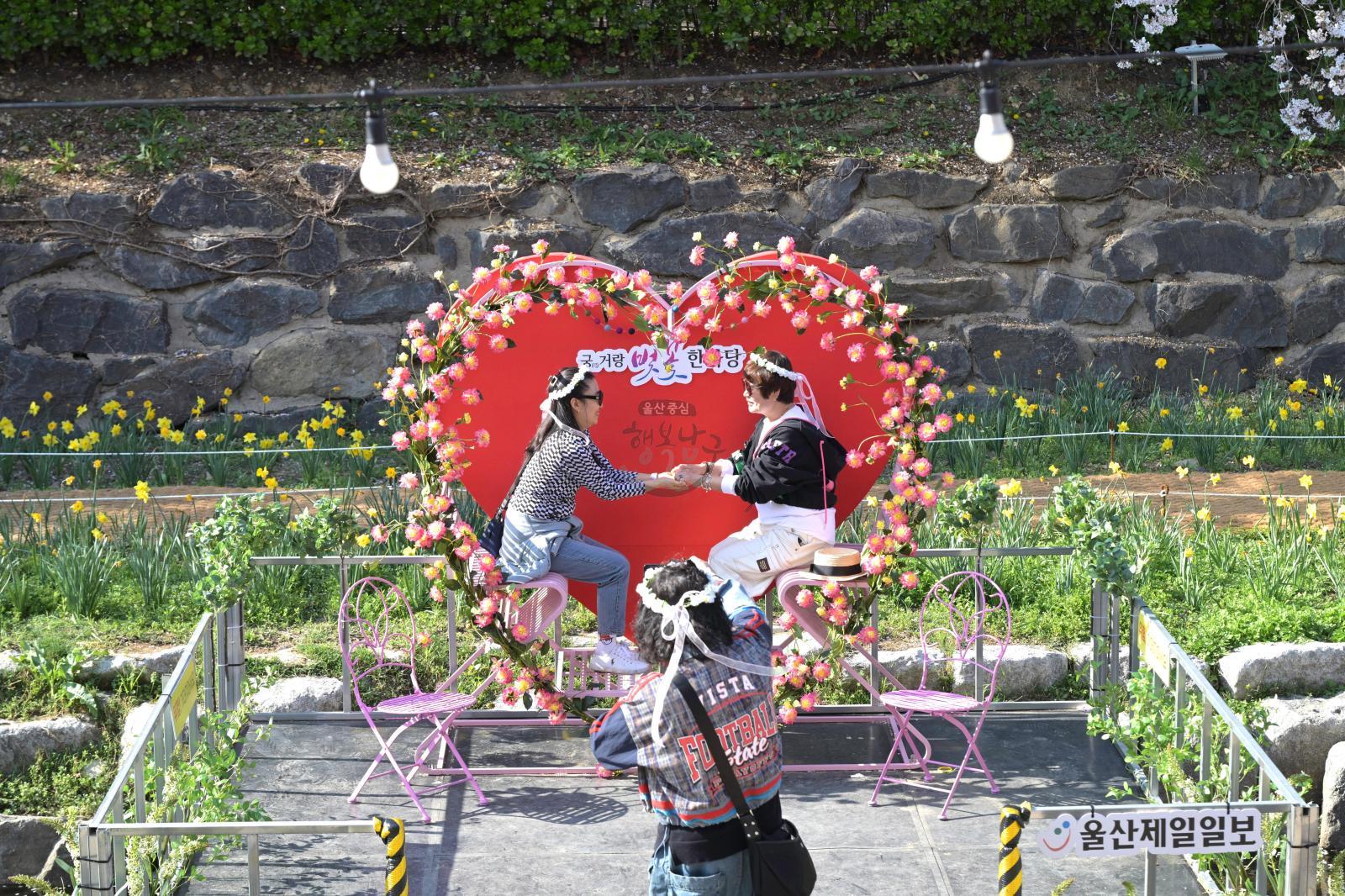 궁거랑 벚꽃길 (궁거랑 벚꽃 한마당) 의 사진