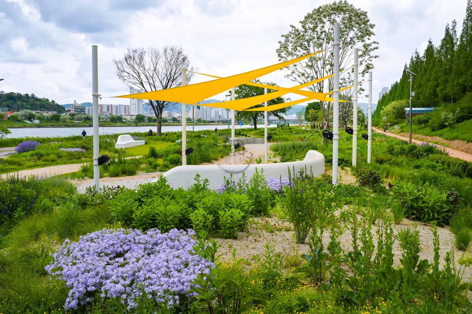 태화강그라스정원 의 사진