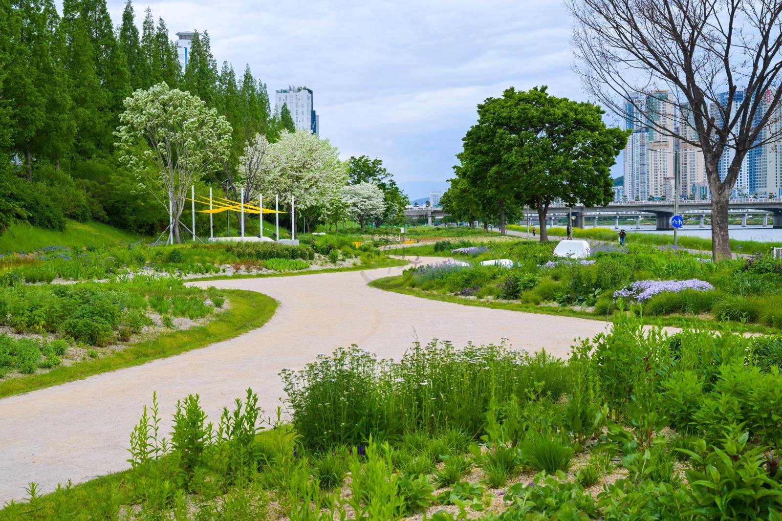 태화강그라스정원 의 사진