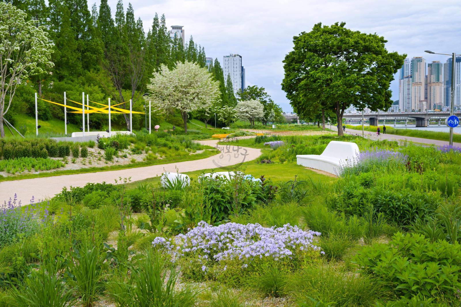 태화강그라스정원 의 사진