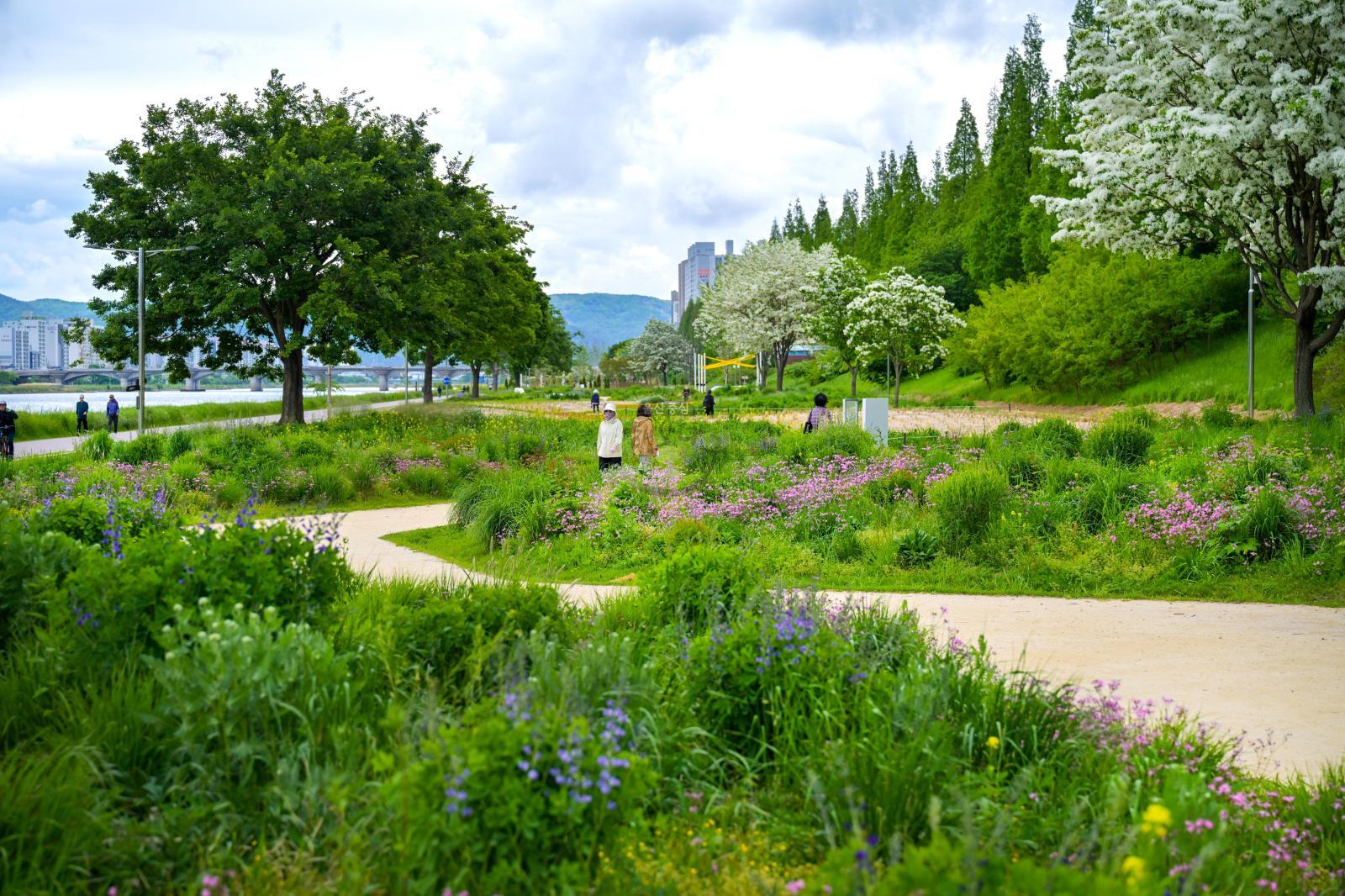태화강그라스정원 의 사진