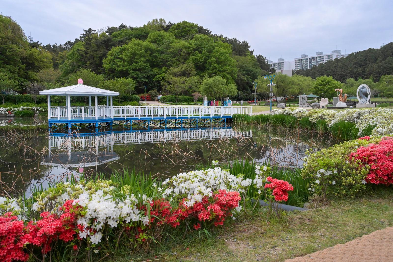 선암호수공원 제2연꽃지 (영산홍) 의 사진