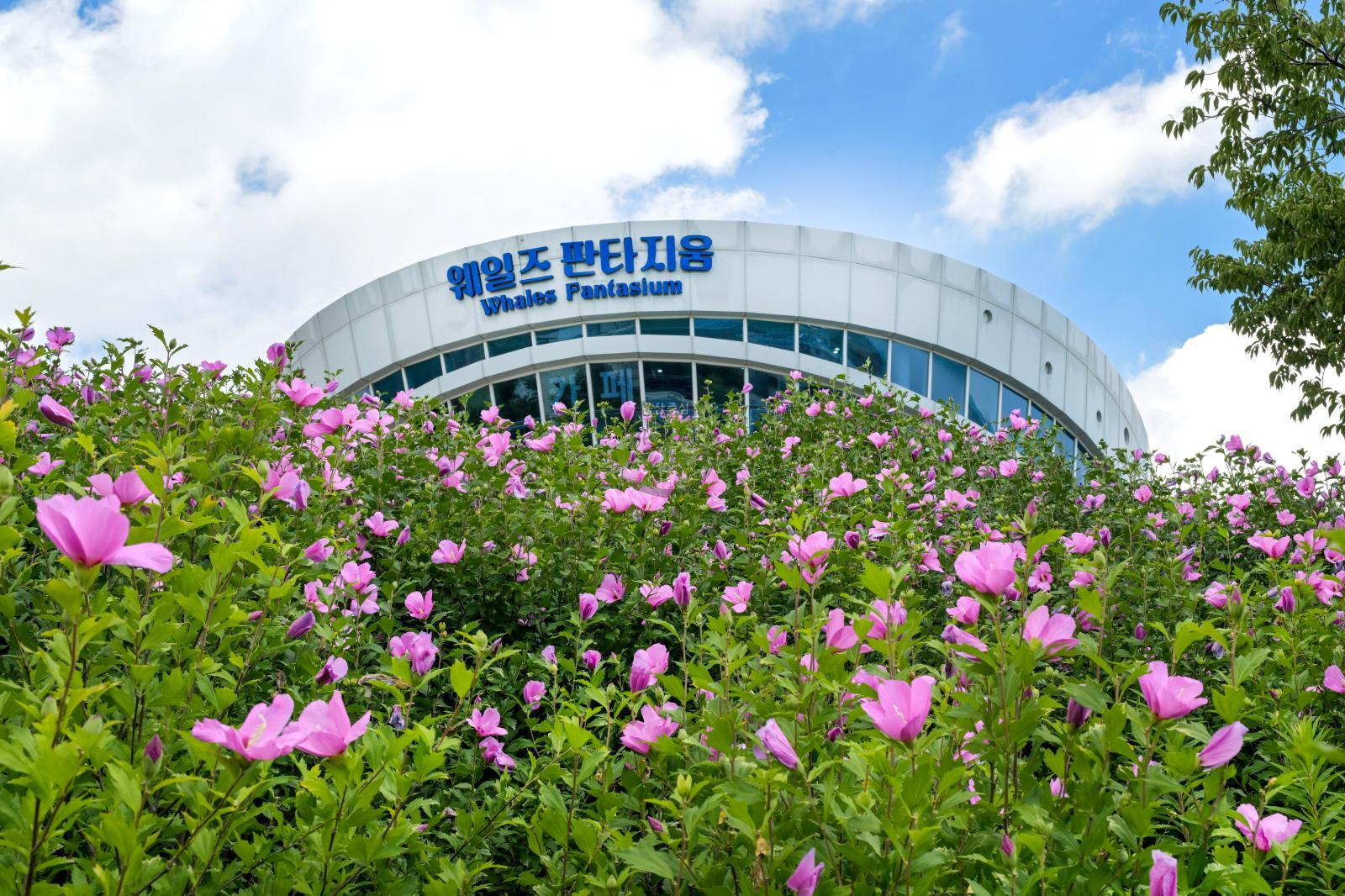 장생포무궁화동산 의 사진