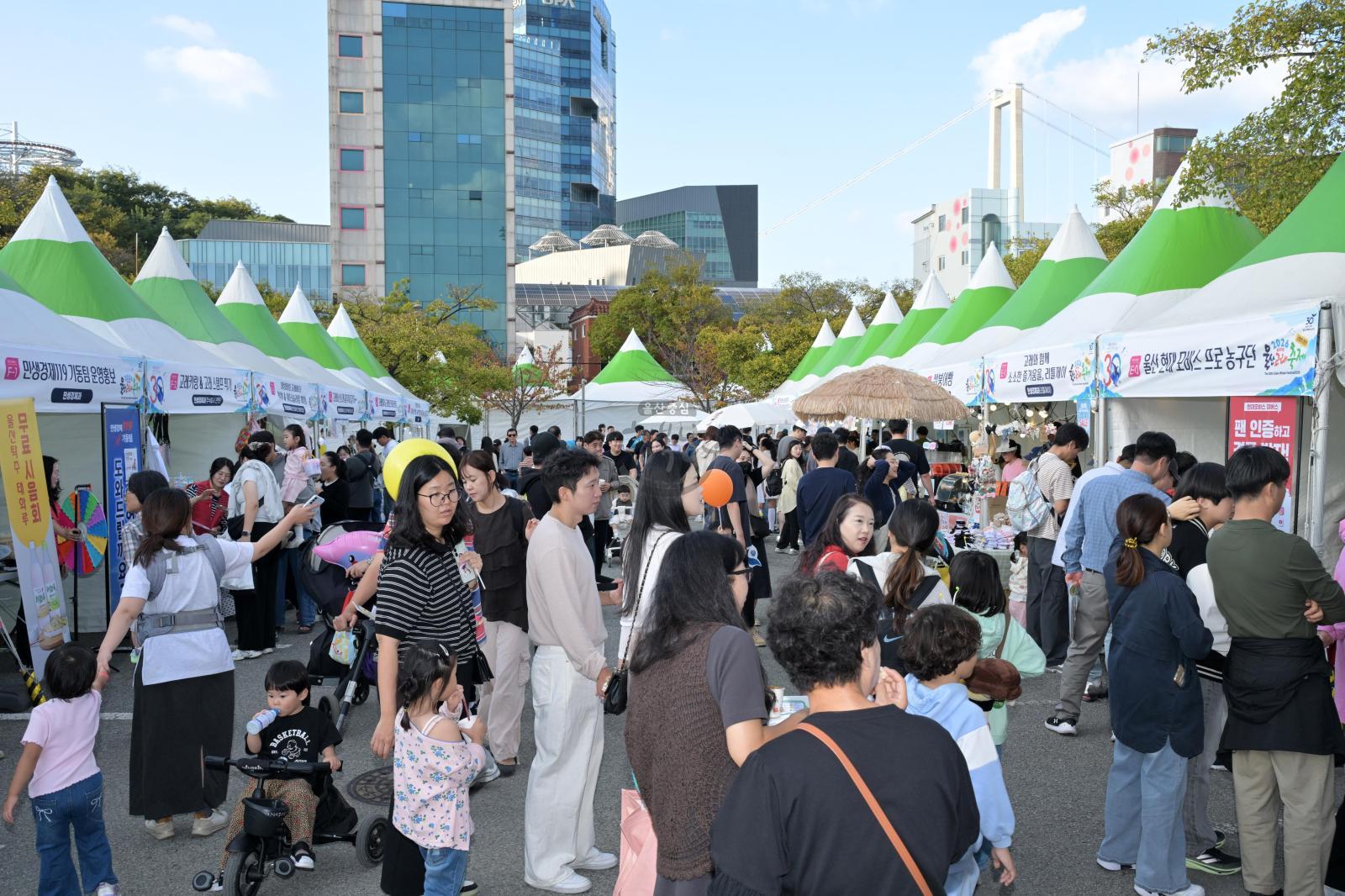 제30회 울산고래축제(2,3일차) 의 사진