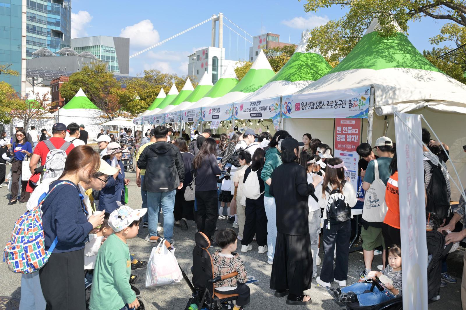 제30회 울산고래축제(2,3일차) 의 사진