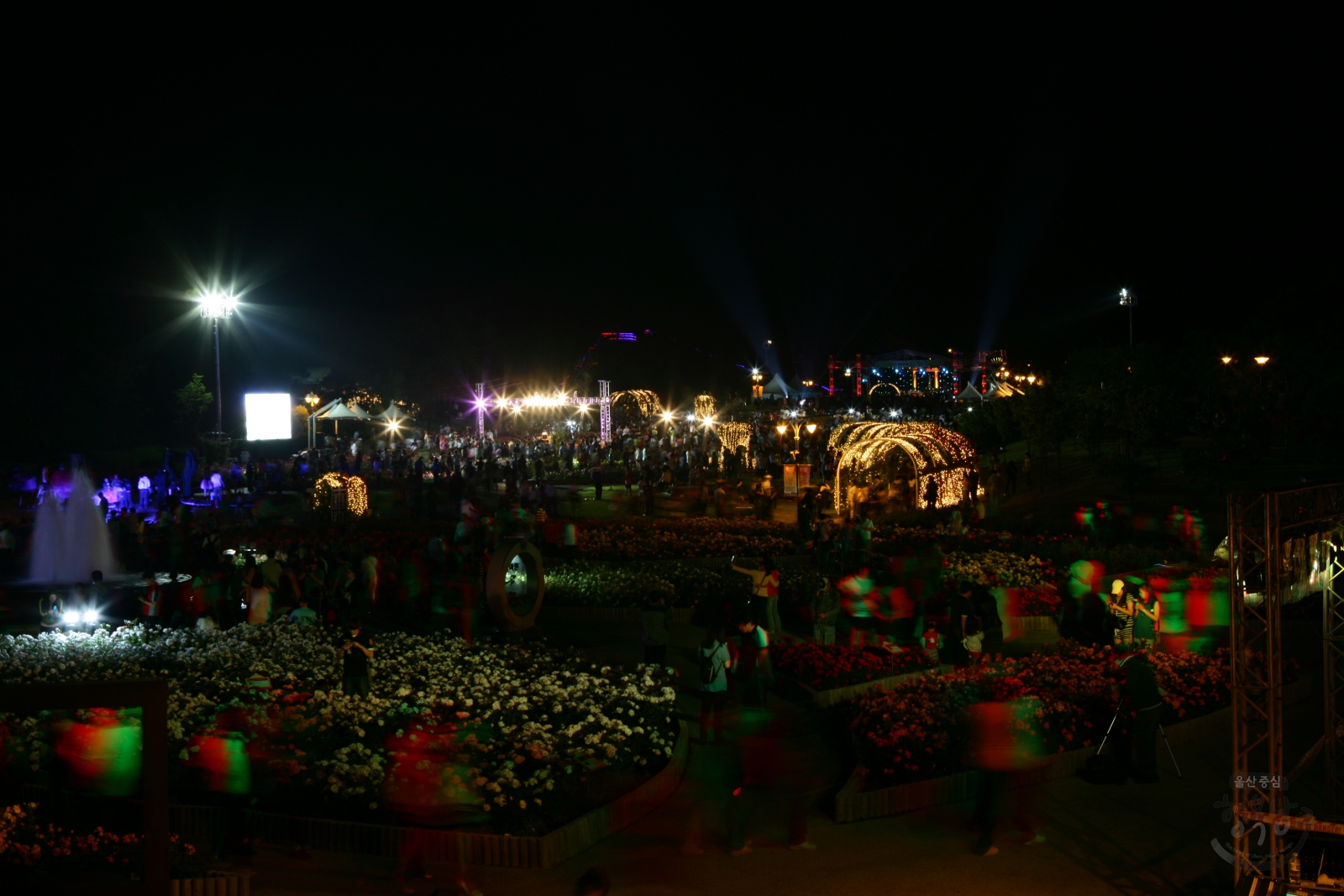 울산대공원 장미축제 의 사진