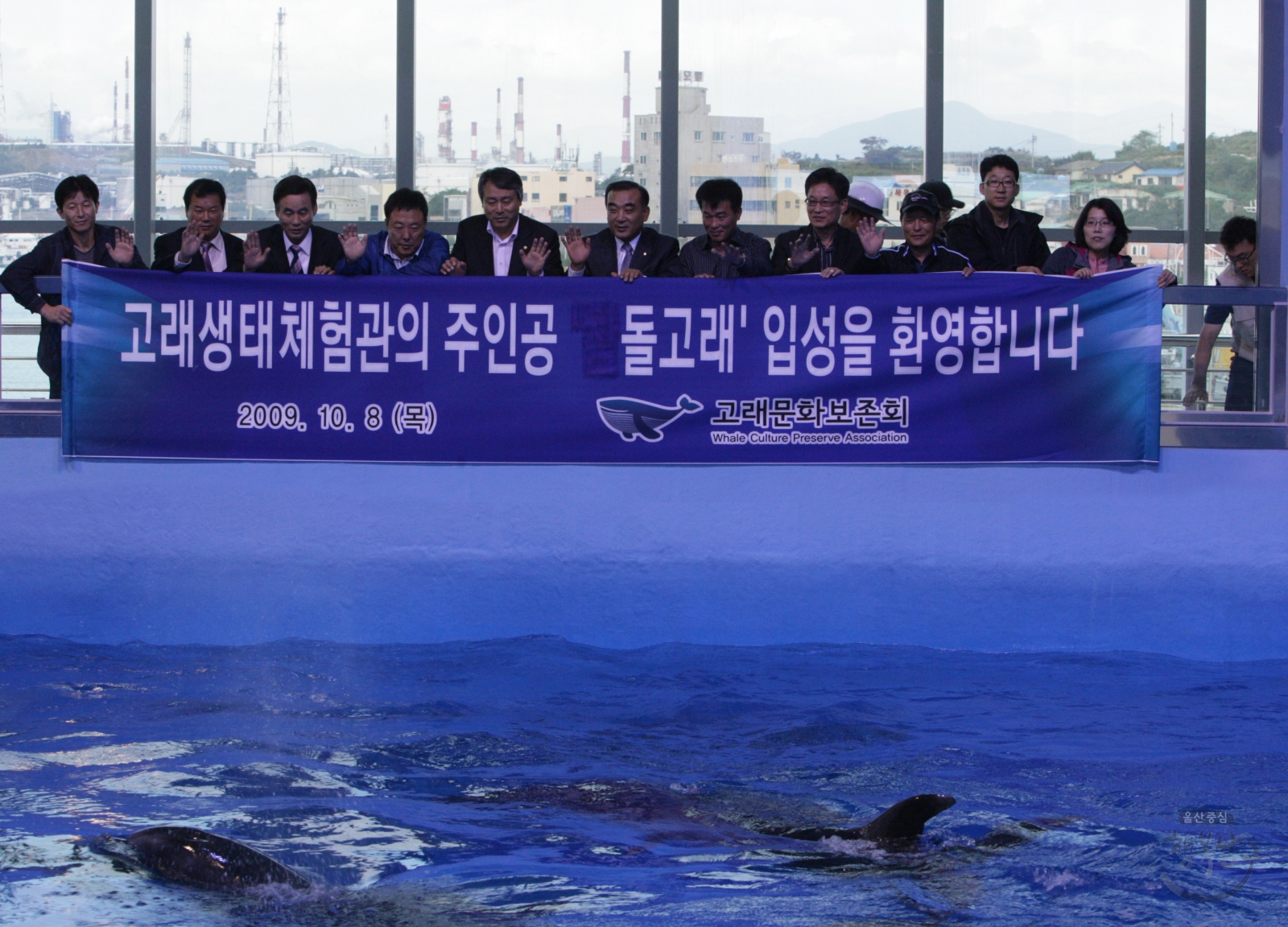 고래생태체험관 고래입수 의 사진