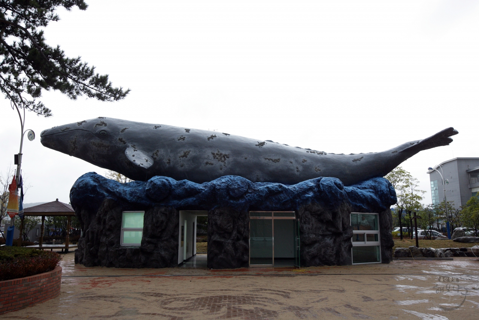 고래생태체험관 의 사진