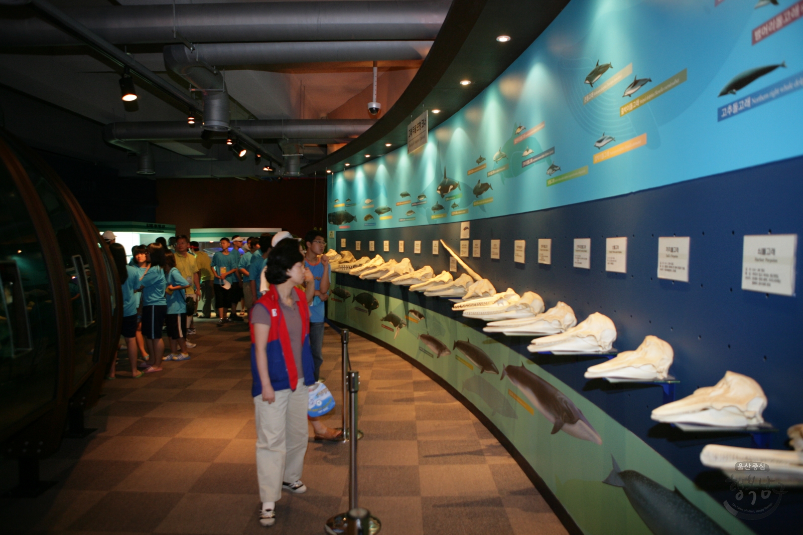 장생포고래박물관 의 사진