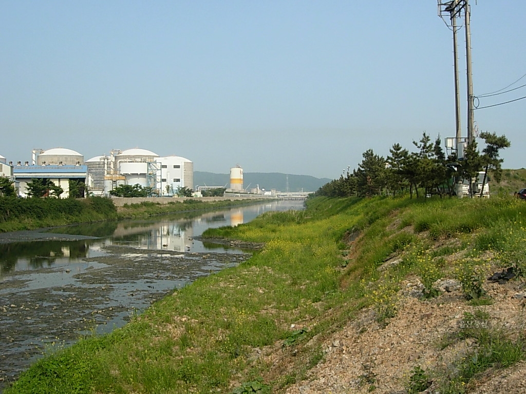 여천천 2005년 봄 공사전 사진 의 사진