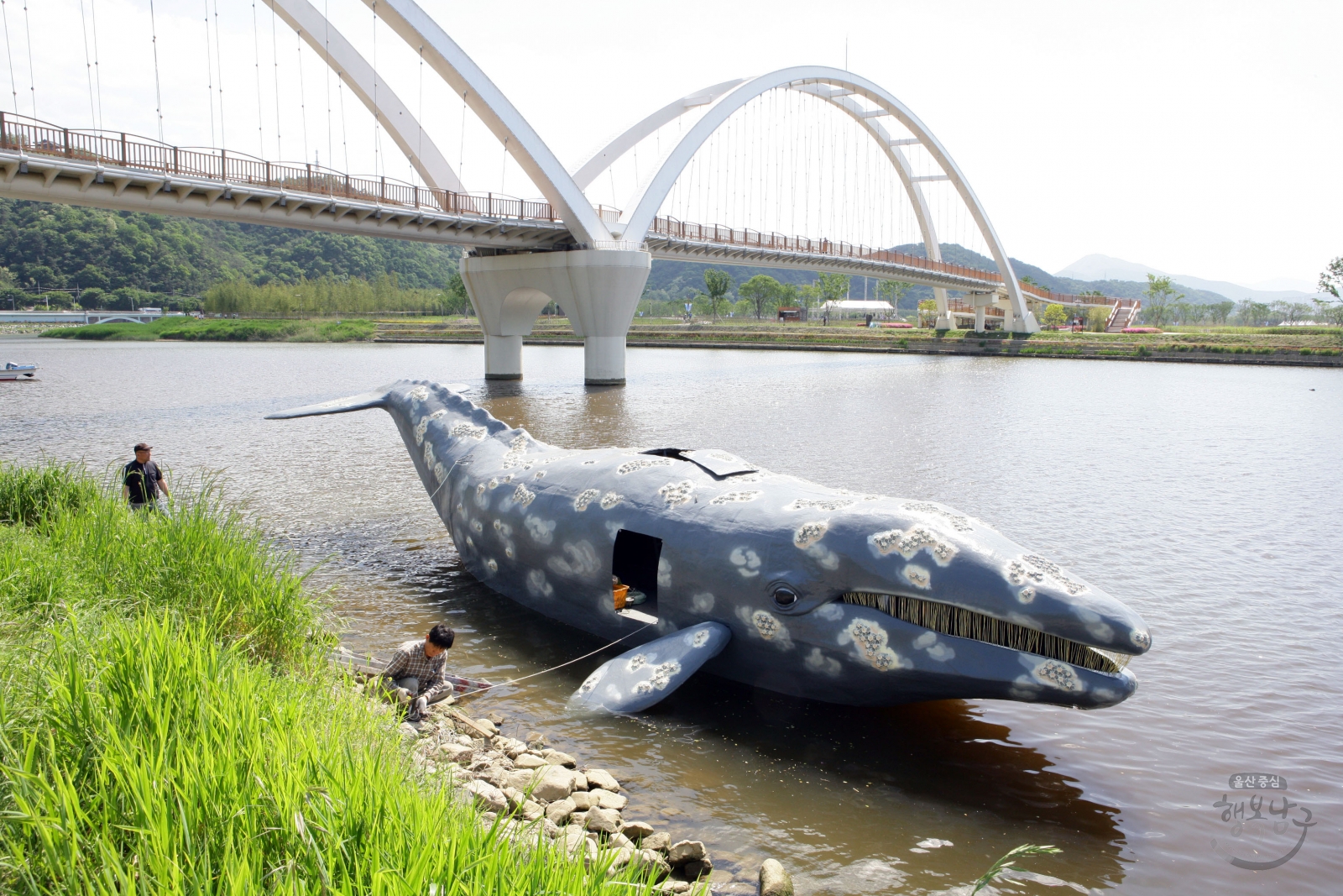 태화강국가정원 태화강 귀신고래 모형배 의 사진