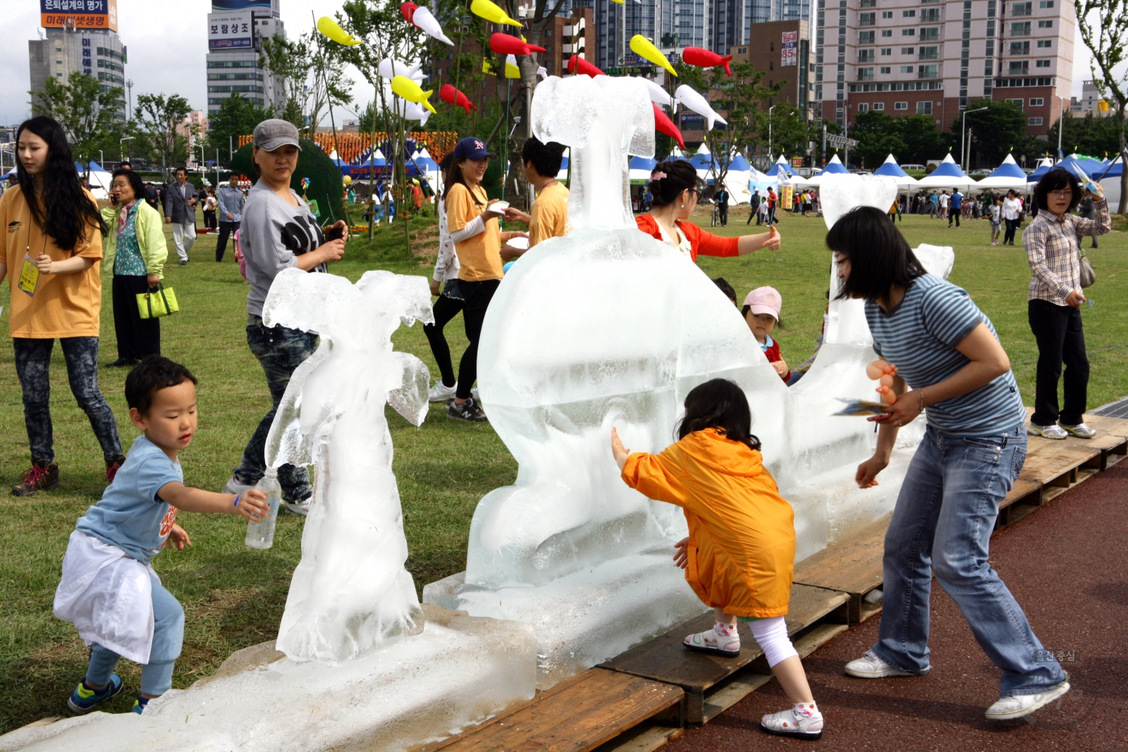2011 울산고래축제 의 사진