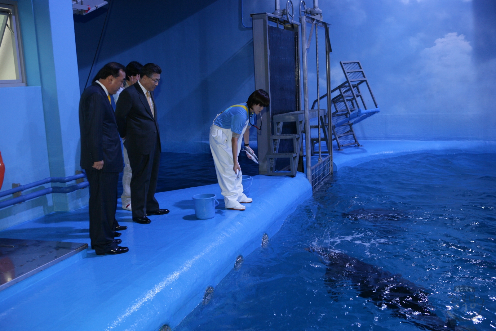 장생포 고래생태체험관 큰돌고래 이름 명명식 의 사진
