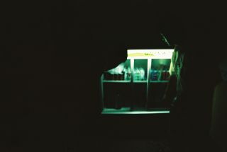 [제목]+사진