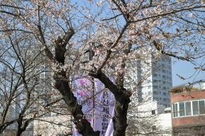 [제목]+사진