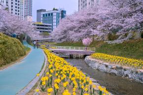 [제목]+사진