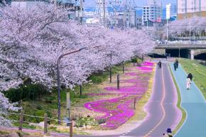 [제목]+사진