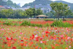 [제목]+사진