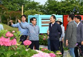 [제목]+사진