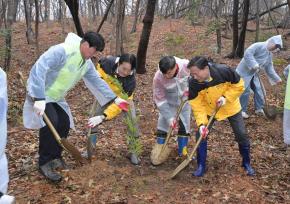 제81회 식목일 나무심기 행사 사진
