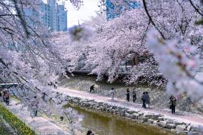 [제목]+사진