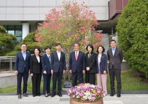 남구 개청 40주년 기념식수 제주참꽃 첫 개화 사진